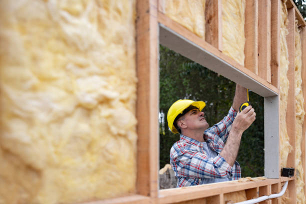 Best Insulation for Existing Homes  in Gibraltar, MI