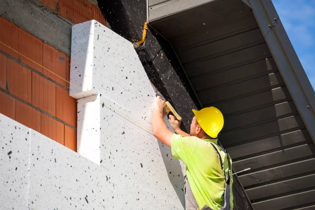 Best Wall Insulation Installation  in Gibraltar, MI